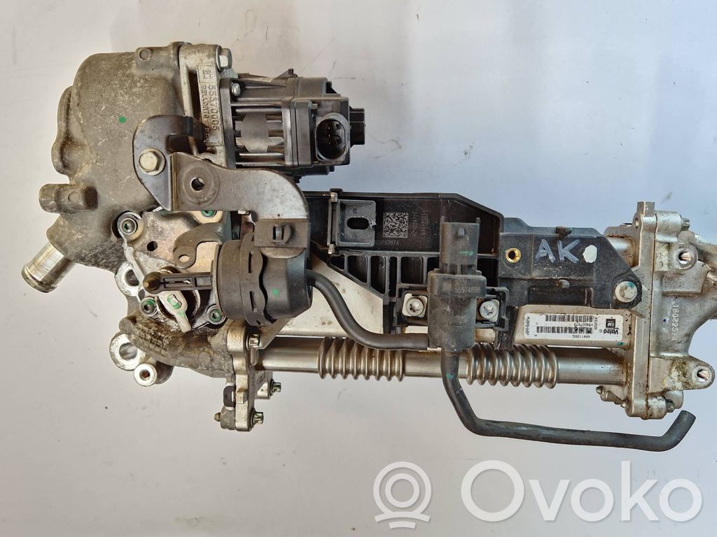 Válvula EGR   55570005