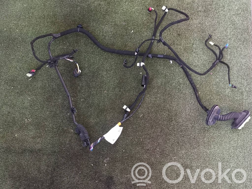 Tesla Model Y Cableado de puerta trasera 