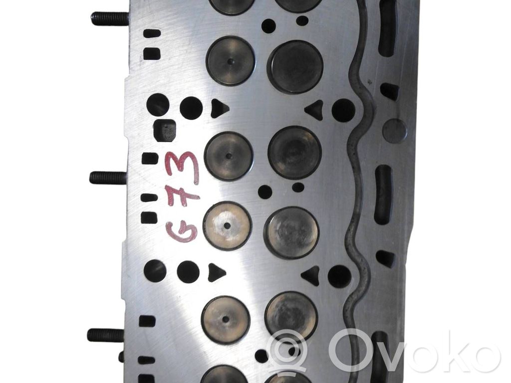 Galvutė   059353GN