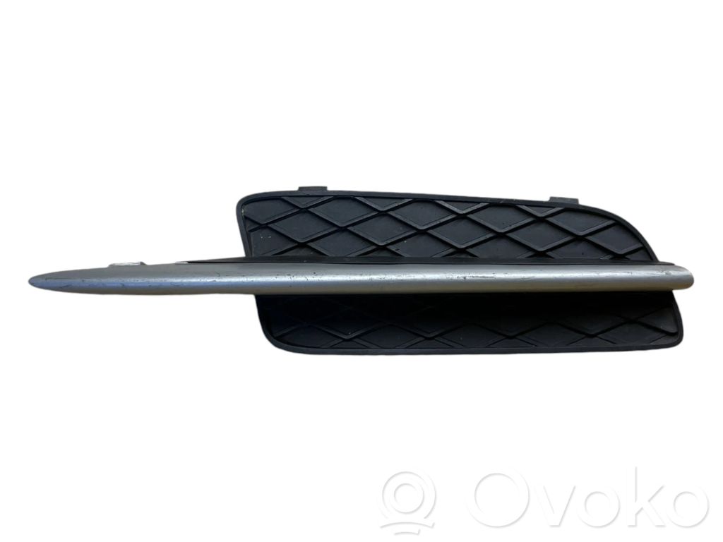 BMW X5 E70 Front bumper lower grill 