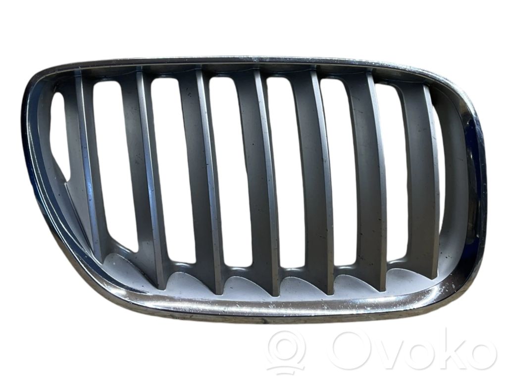 BMW X5 E53 Front grill 