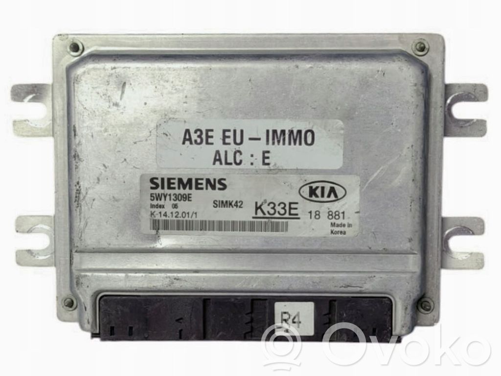 KIA Rio Engine control unit/module 