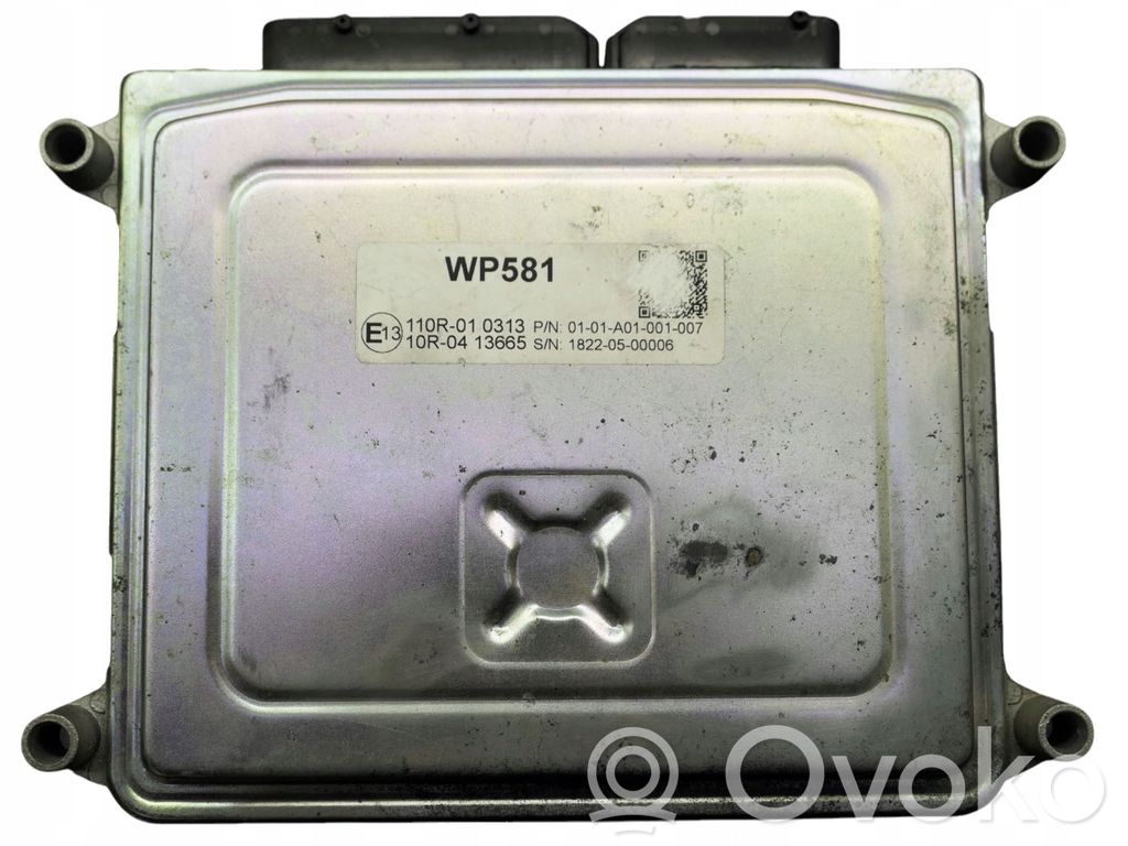 Engine control unit/module   110R010313,WP581,10R0413665