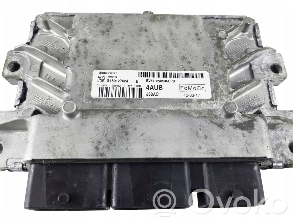 Ford Focus Engine control unit/module 