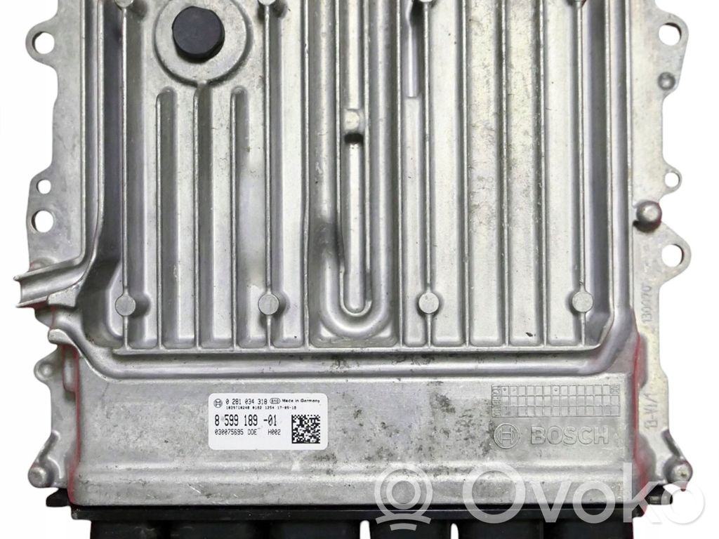 Engine control unit/module   8599189,0281034318