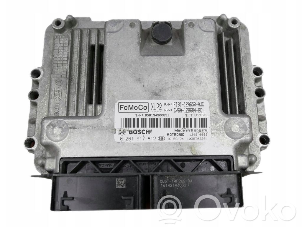 Ford Focus Engine control unit/module 