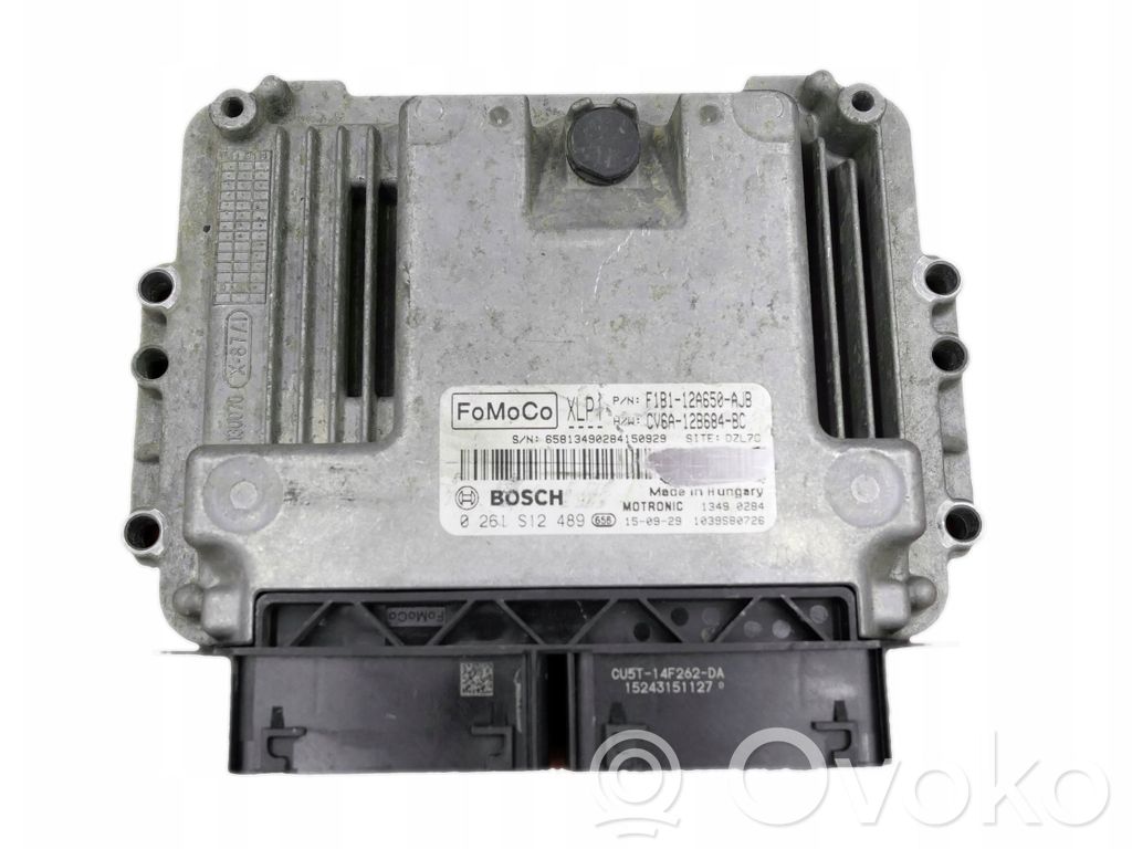 Unidad de control/módulo del motor   F1B112A650AJB,0261S12489