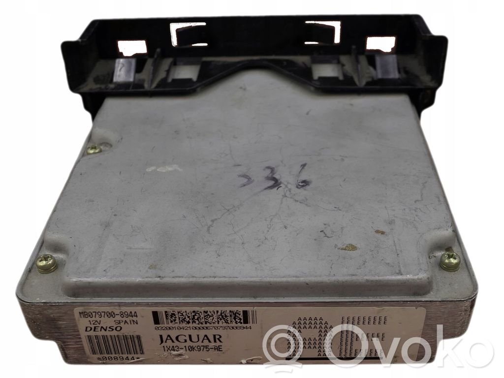 Jaguar X-Type Engine control unit/module 