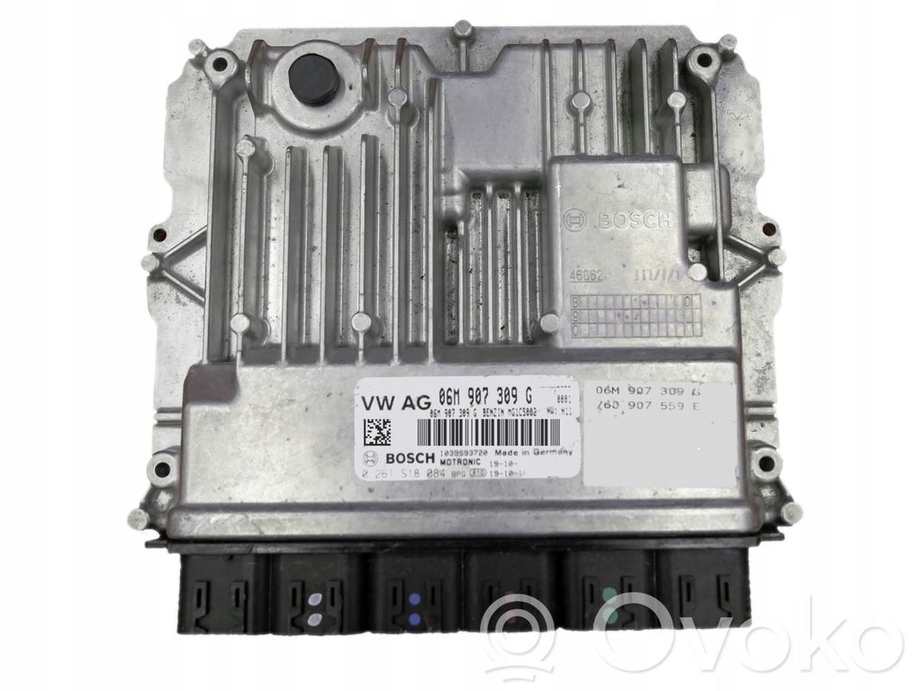 Engine control unit/module   06M907309G,0261S18084