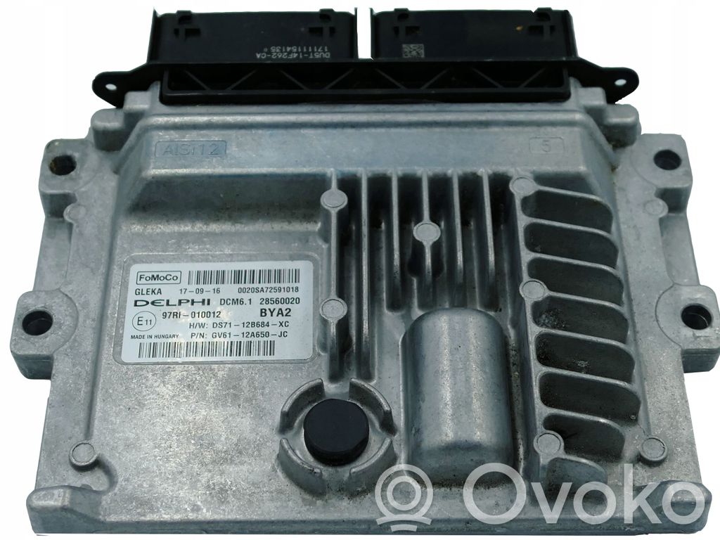 Ford Focus Engine control unit/module 