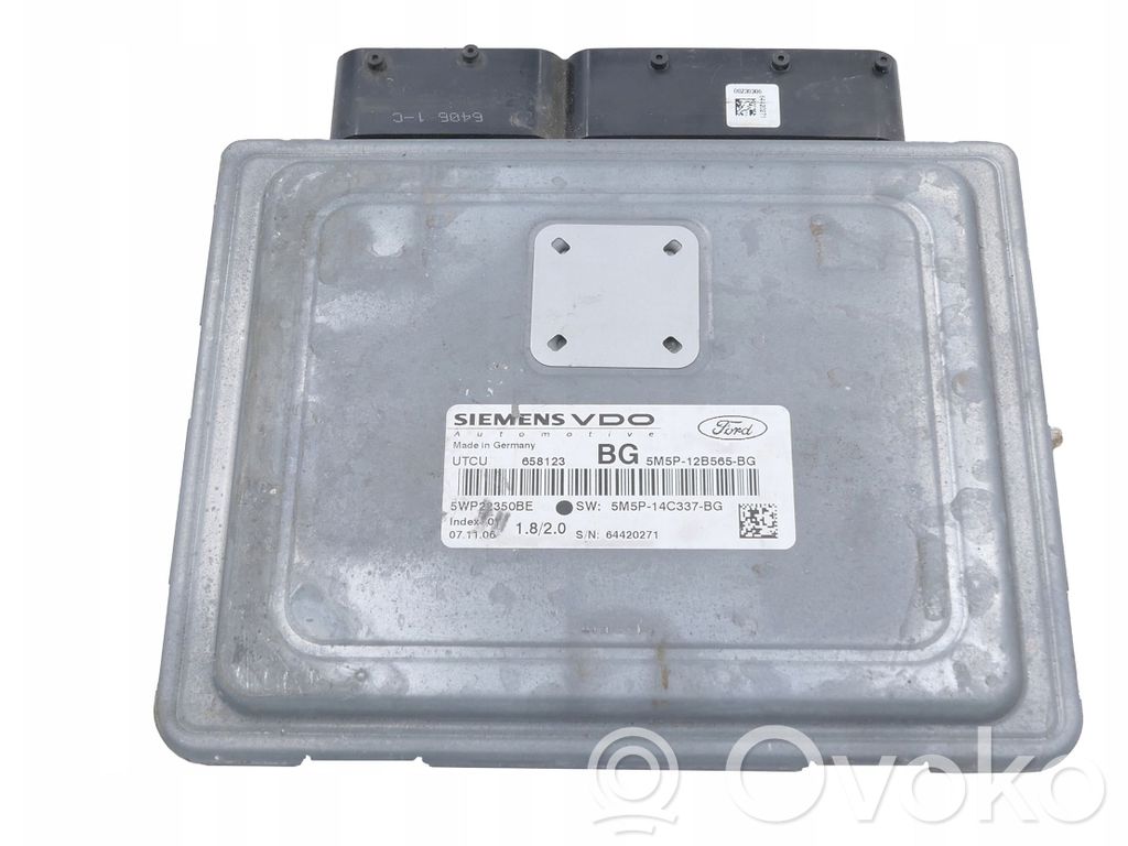 Ford Focus Engine control unit/module 