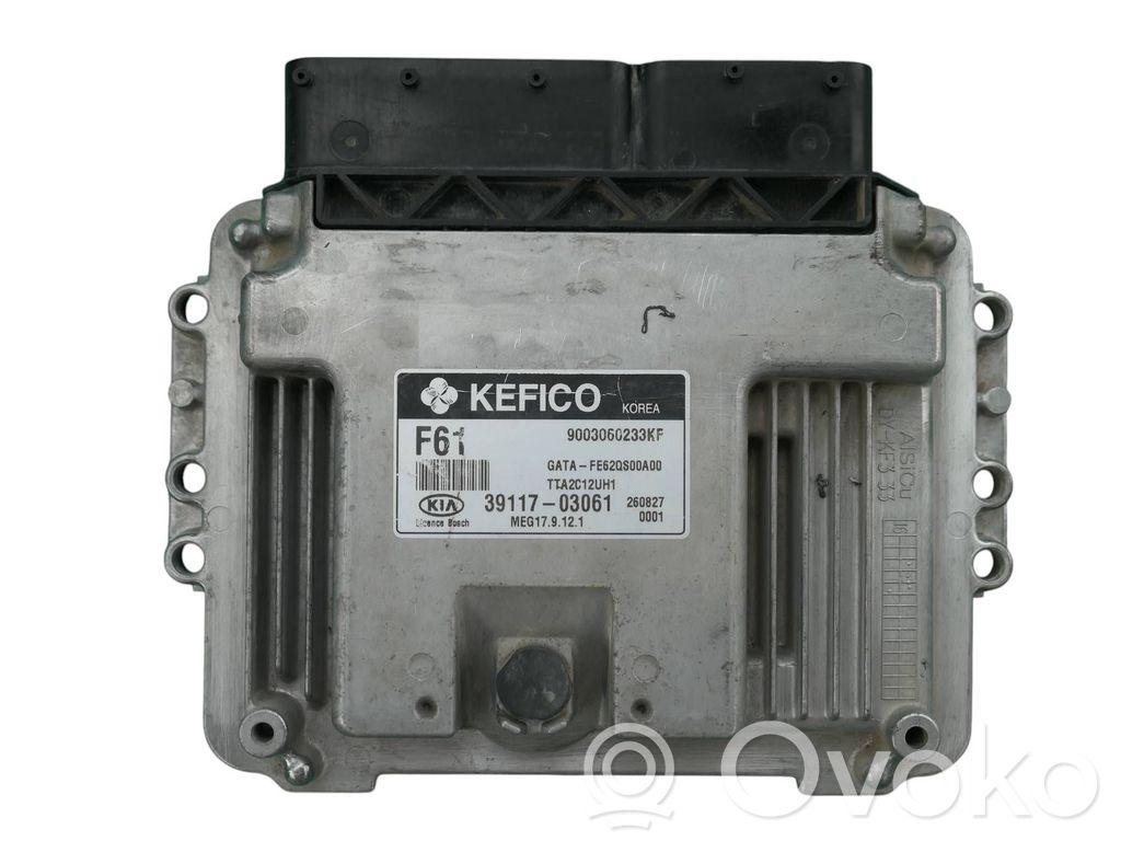 Engine control unit/module   9003060233KF,3911703061,F61