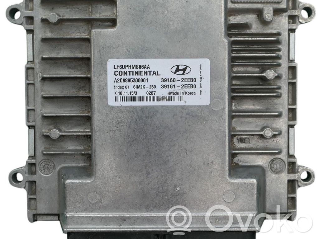 Galios (ECU) modulis   391602EEB0,A2C9885300001,INDEX01