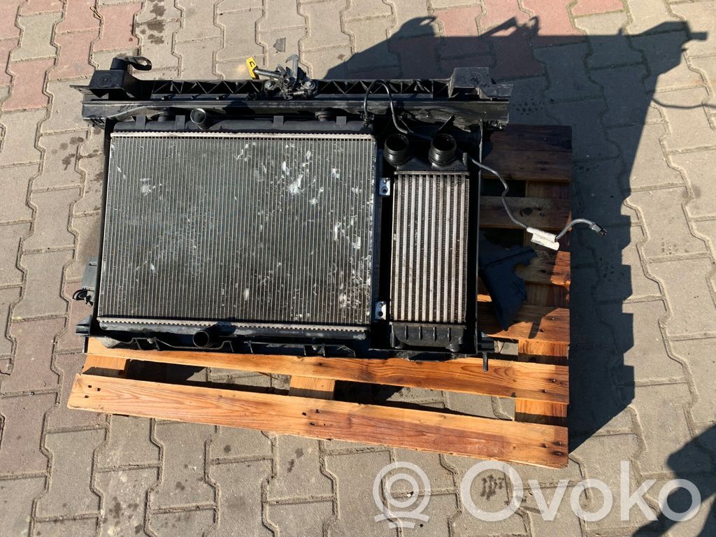 Radiator set   9680533480