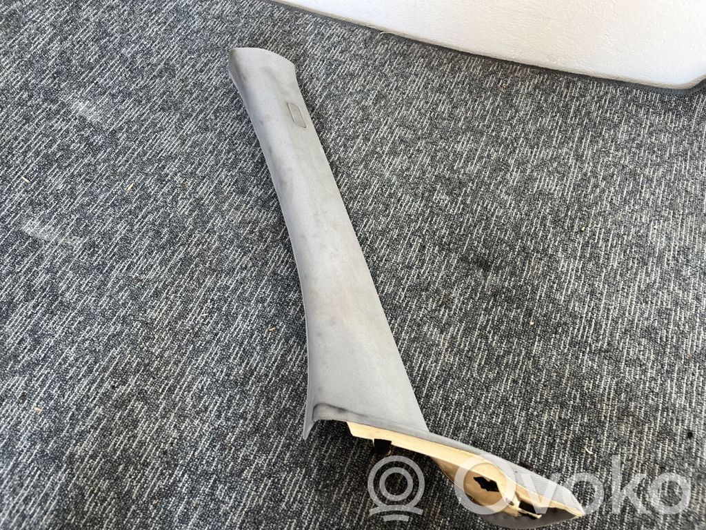 (A) pillar trim   7058329