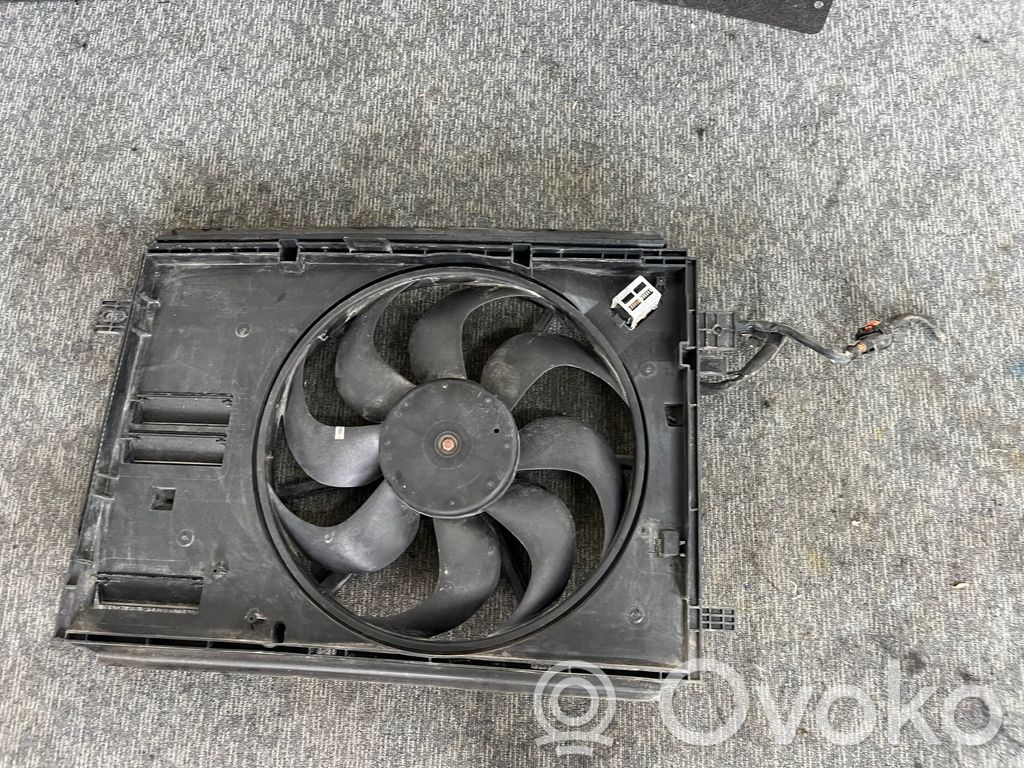 Peugeot Expert Ventilator electric răcire radiator 