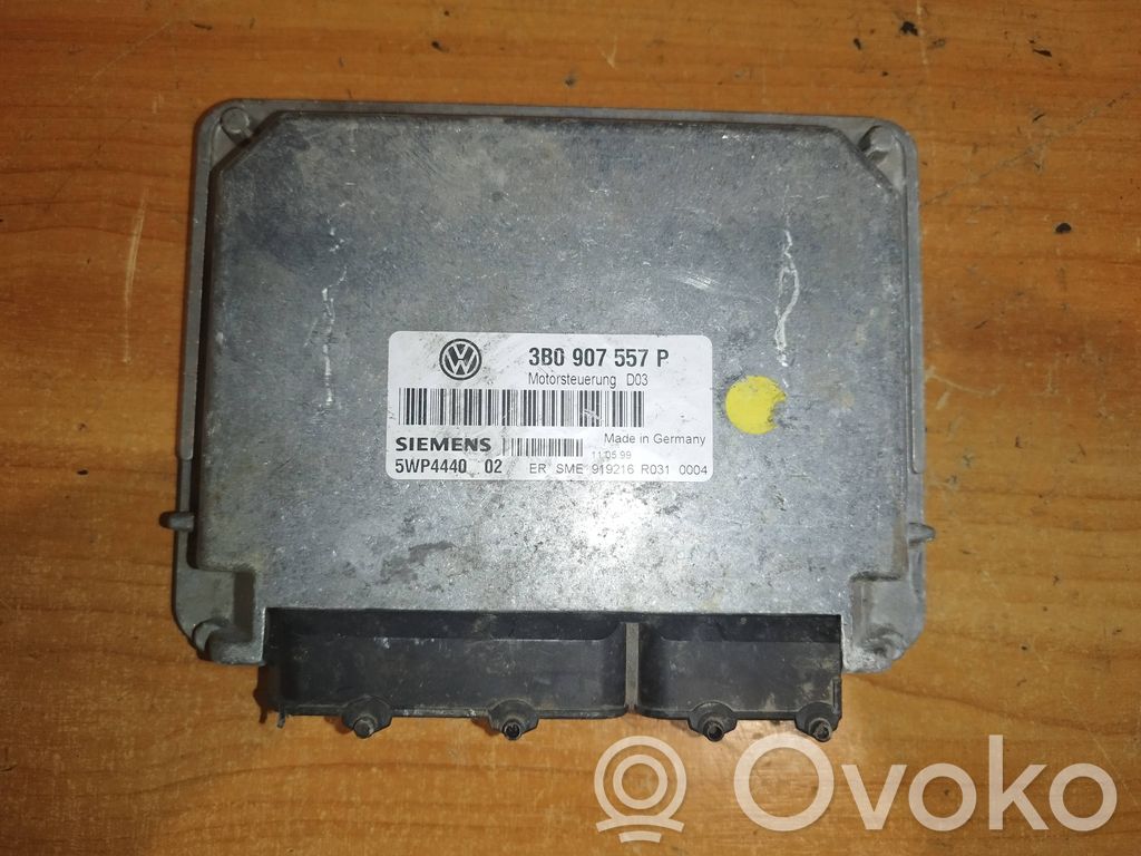 Volkswagen PASSAT B5 Engine control unit/module 