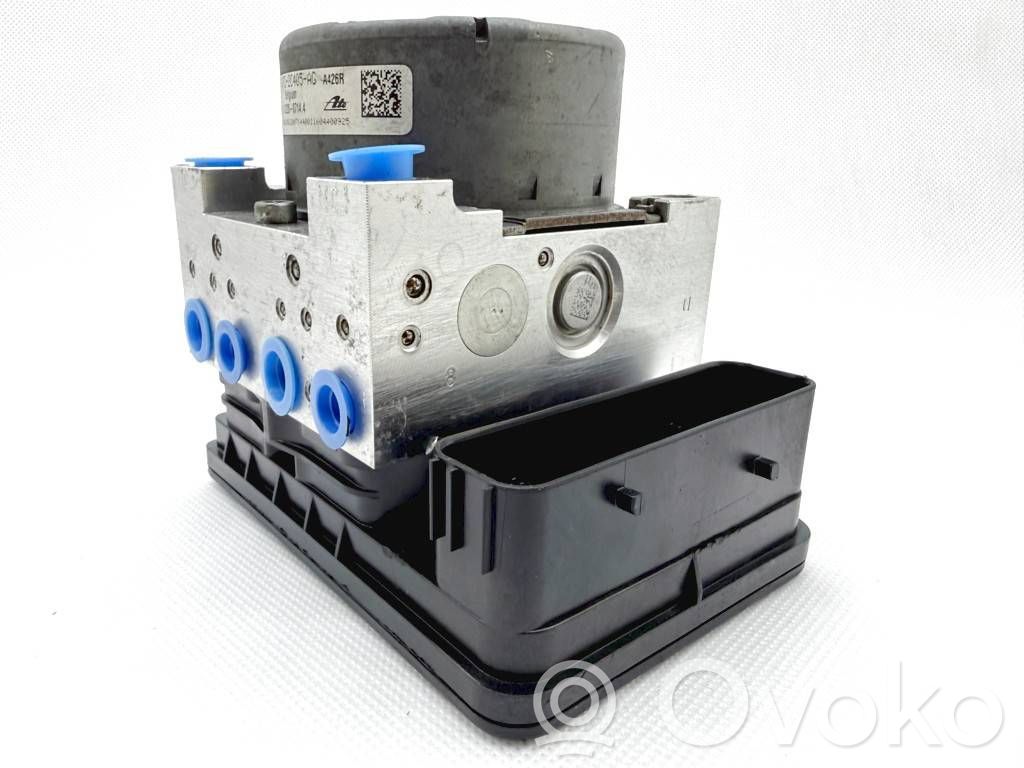 ABS bloks   F1FC2C219BE,28515577183,6162020054A,10062533071,10091501593,F1FC2C405AG