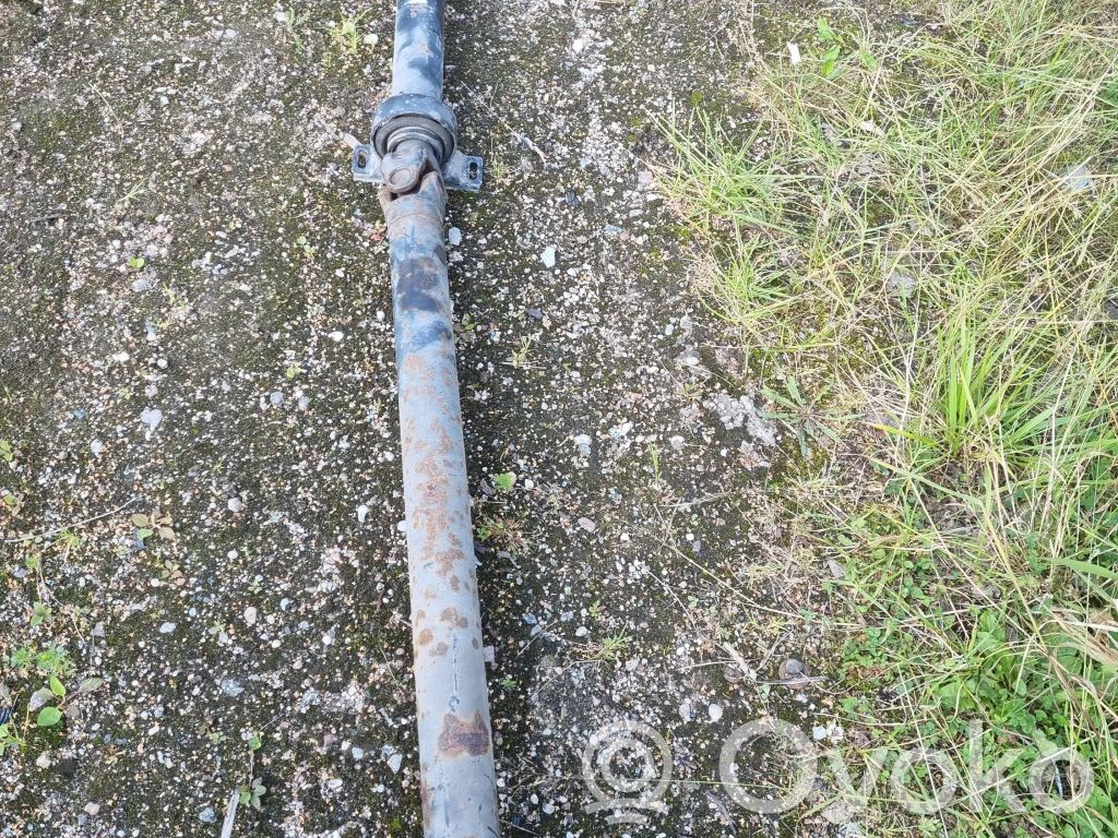 Drive shaft (set)