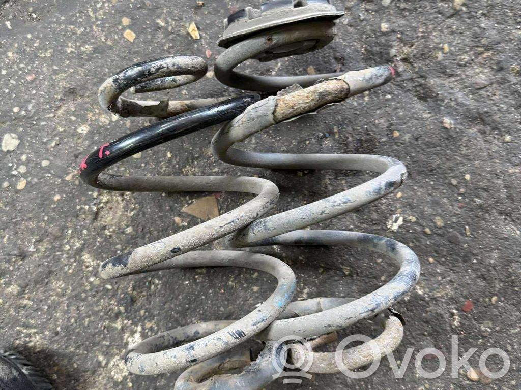 Front coil spring