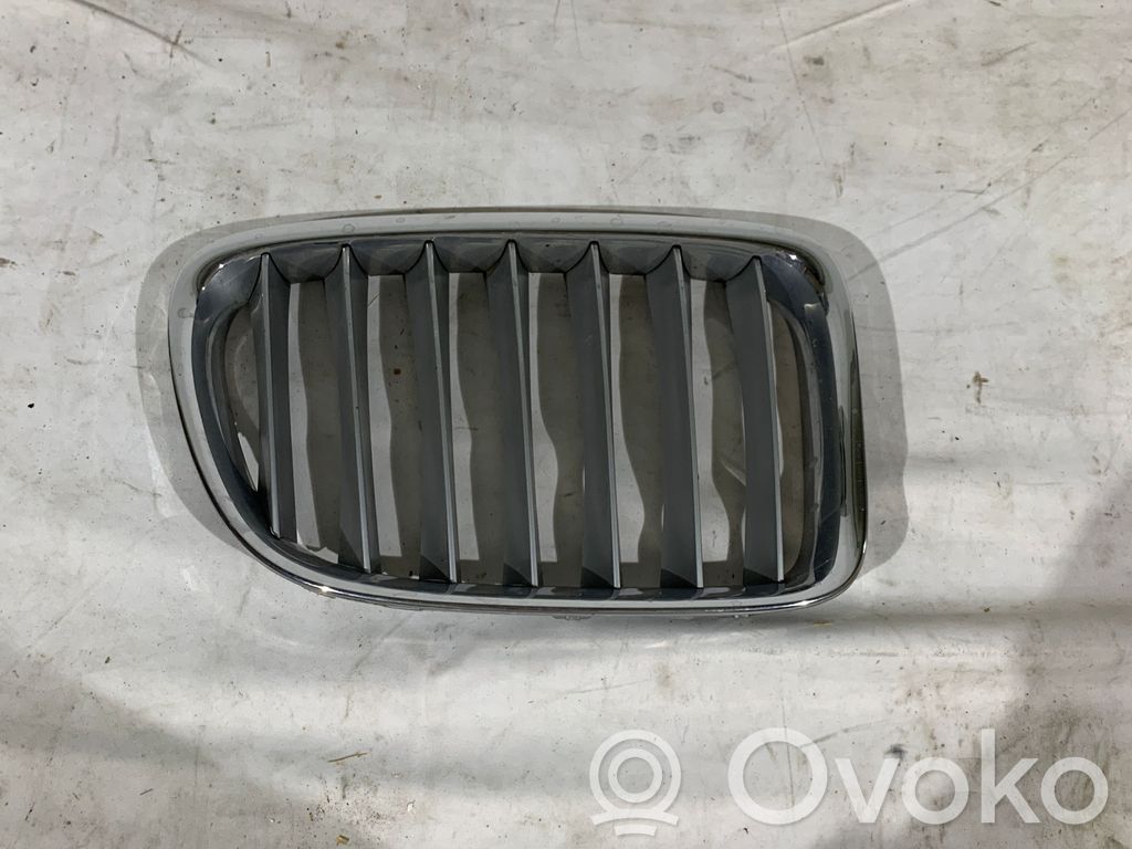 BMW X1 E84 ACC daviklio grotelės 