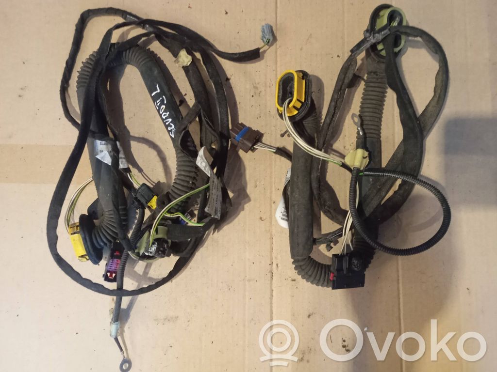 Citroen Jumpy Rear door wiring loom 