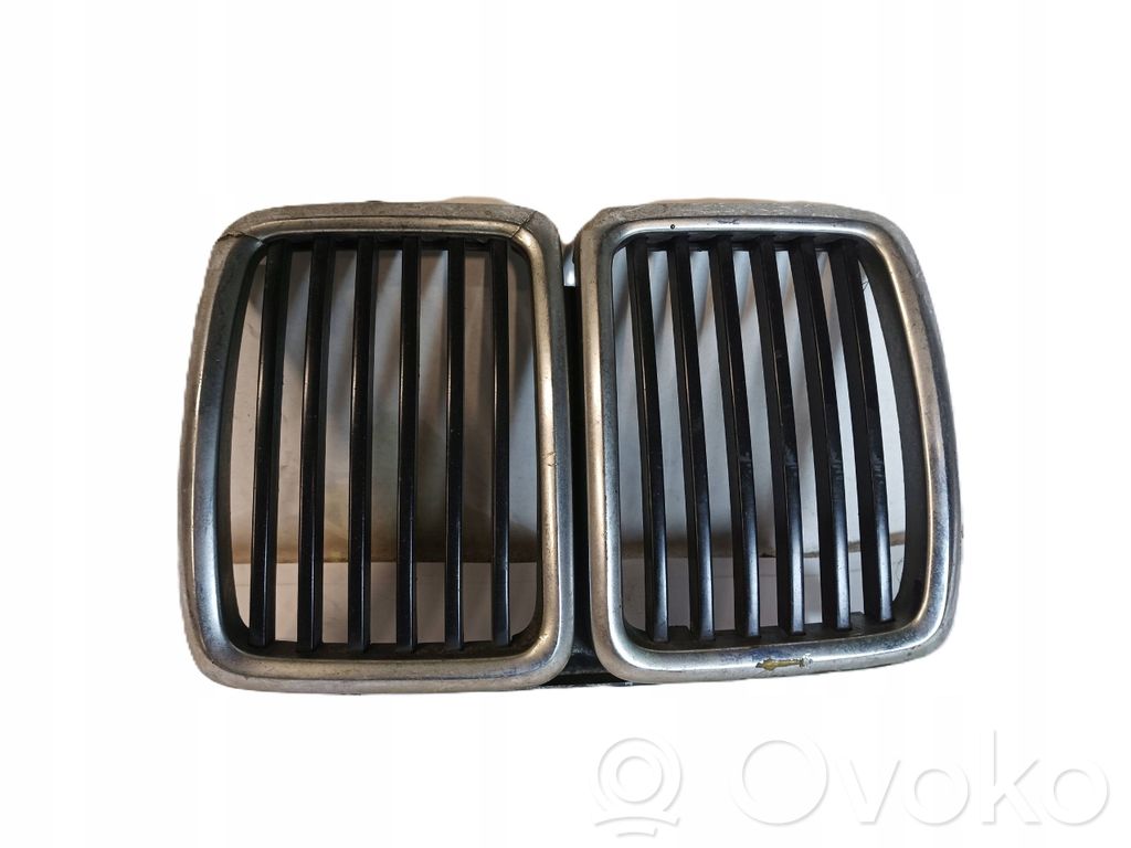 Front grill   51131945877