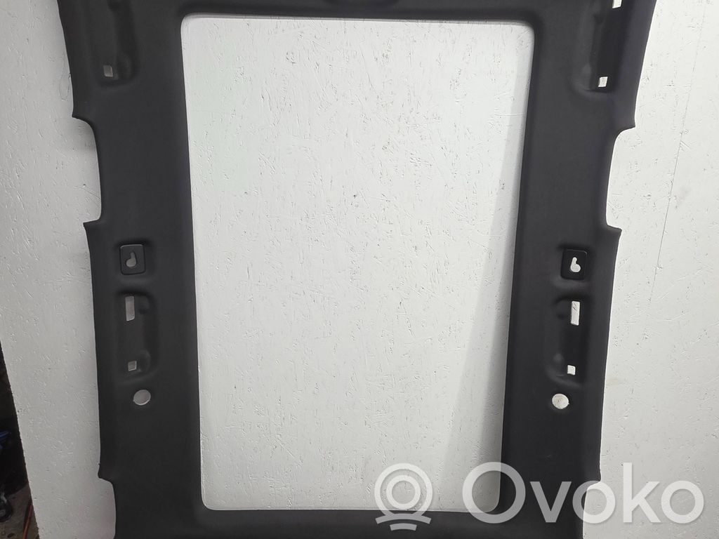 Audi Q7 4M Headlining 