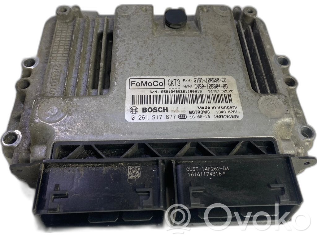 Ford Fiesta Other control units/modules 