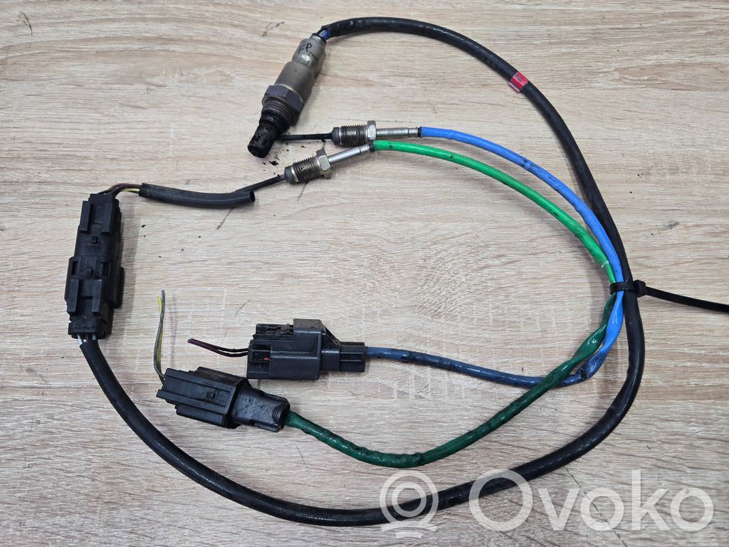 Sonda lambda   17294900,F1FT10C679CB