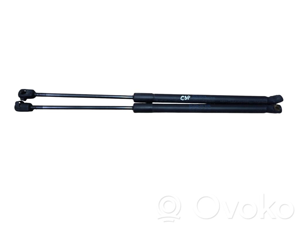 Seat Leon (5F) Tailgate/trunk strut/damper 