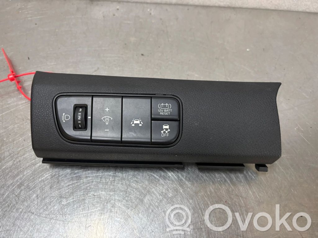 KIA Niro Otros interruptores/perillas/selectores 