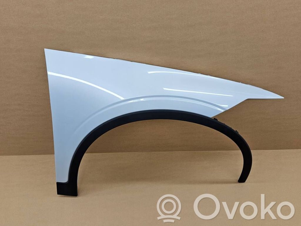 Polestar 2 Guardabarro 