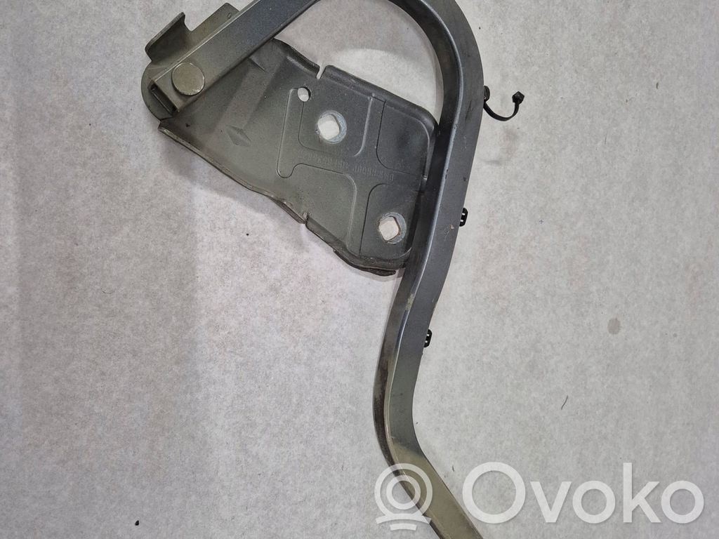 Engine bonnet/hood hinges   0598828,P0598828ASB