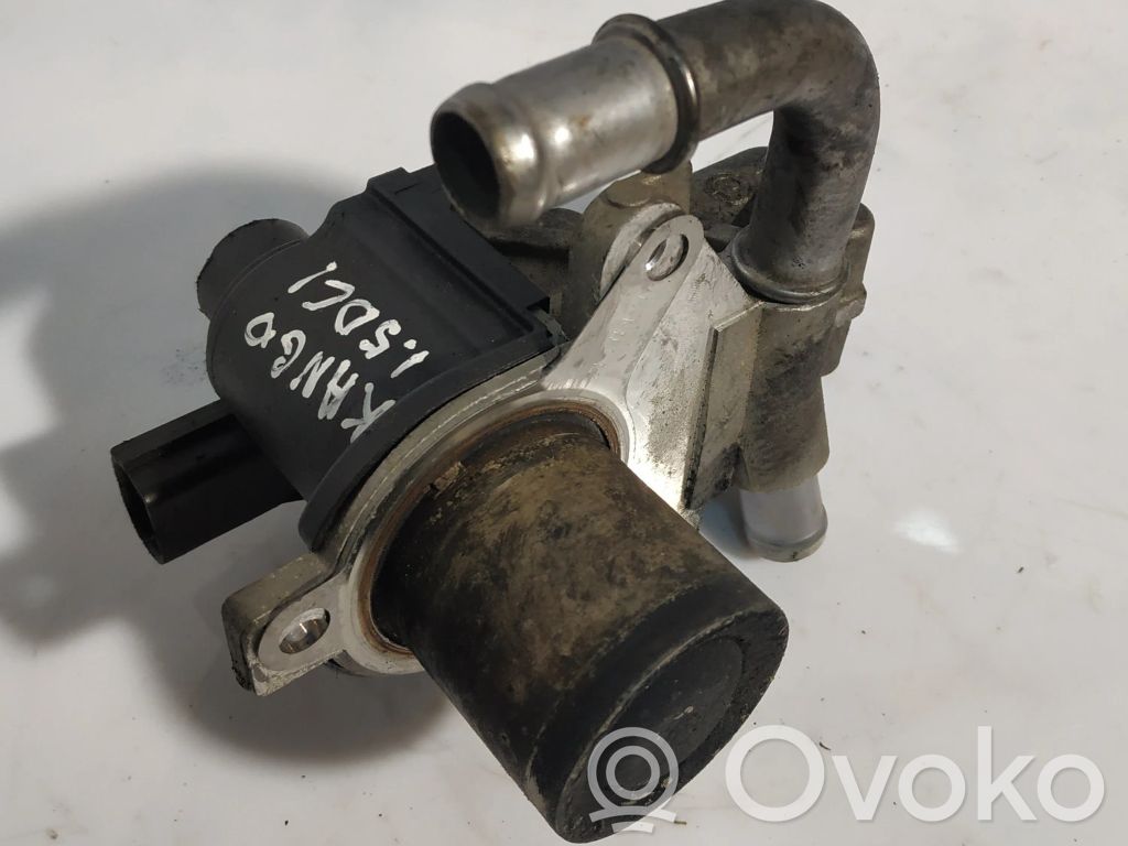 Renault Kangoo II EGR valve 