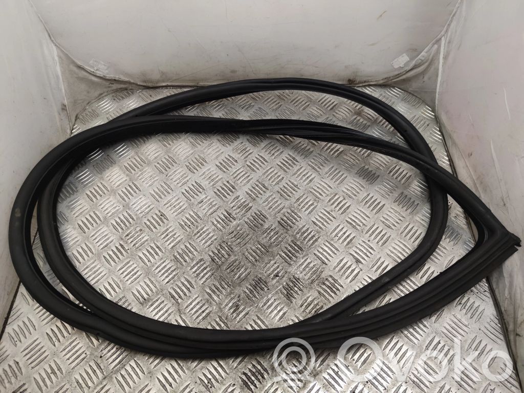 BMW 3 E92 E93 Front door rubber seal 