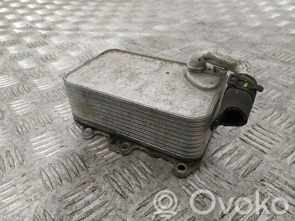 Volkswagen Touareg II Engine oil radiator 