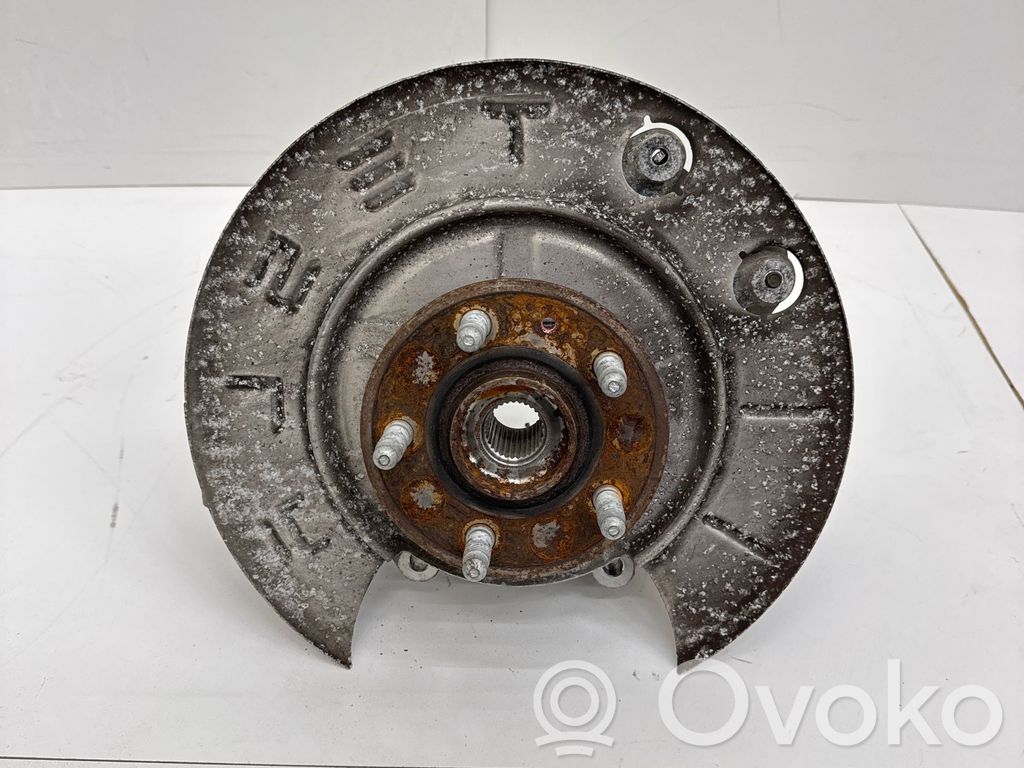 Cubo de rueda trasera   107216000A