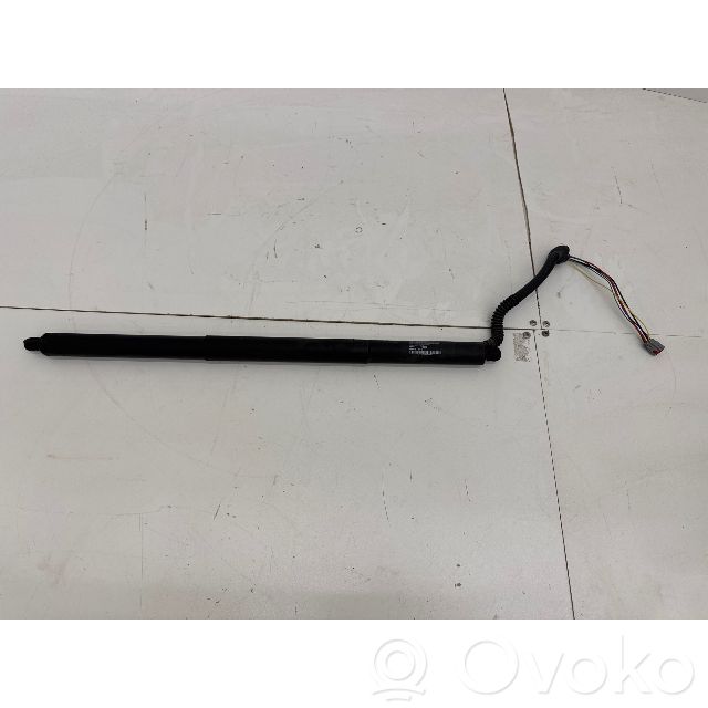Tesla Model S Tailgate/trunk strut/damper 