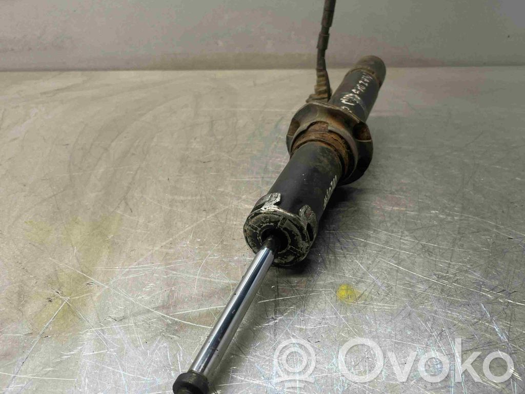 Amortyzator przedni   GAM634700A,GAM634700A