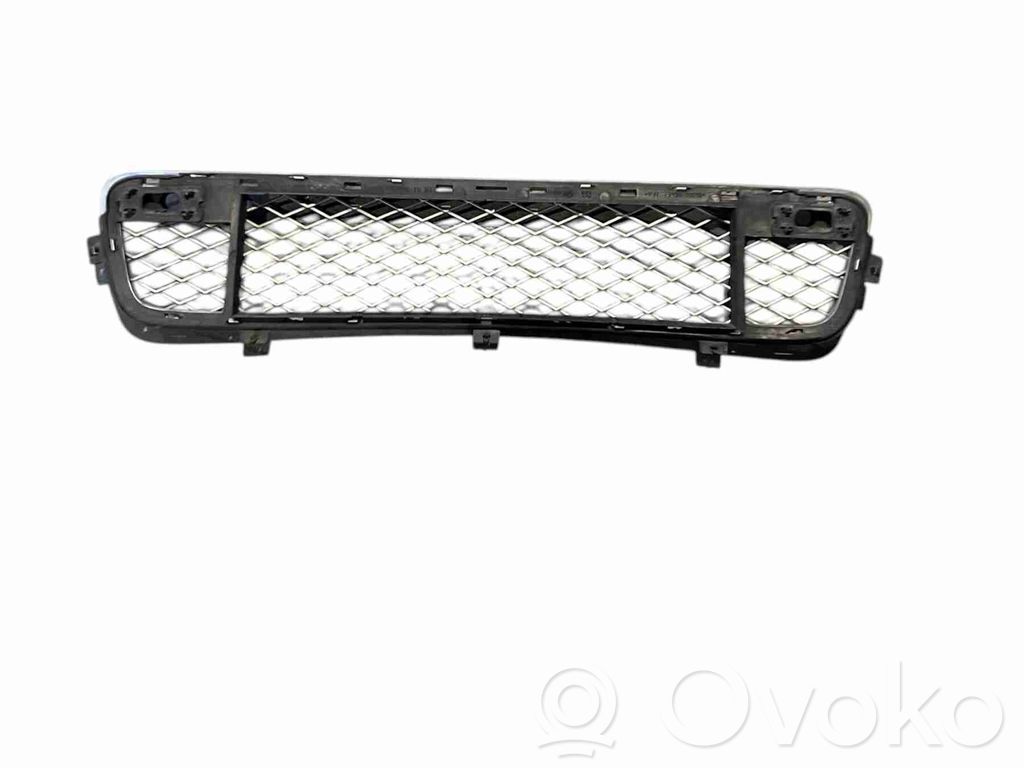 BMW X5 E70 Front bumper lower grill 