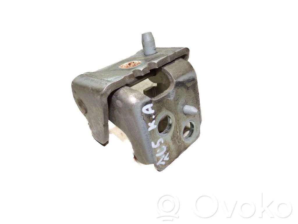 Citroen C5 Rear door lower hinge 