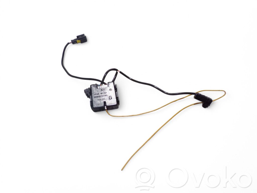 Citroen C5 Otras unidades de control/módulos 