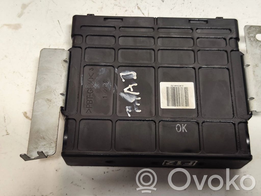 Hyundai Trajet Engine control unit/module 