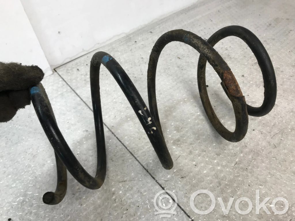 Front coil spring