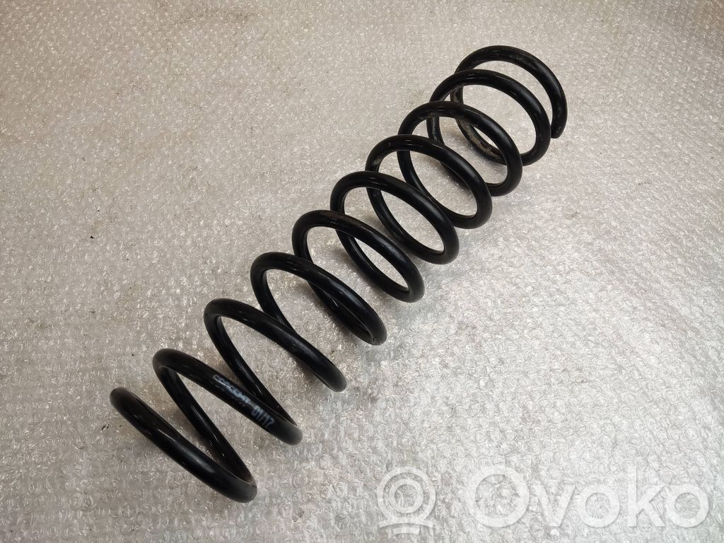 Muelle espiral trasero