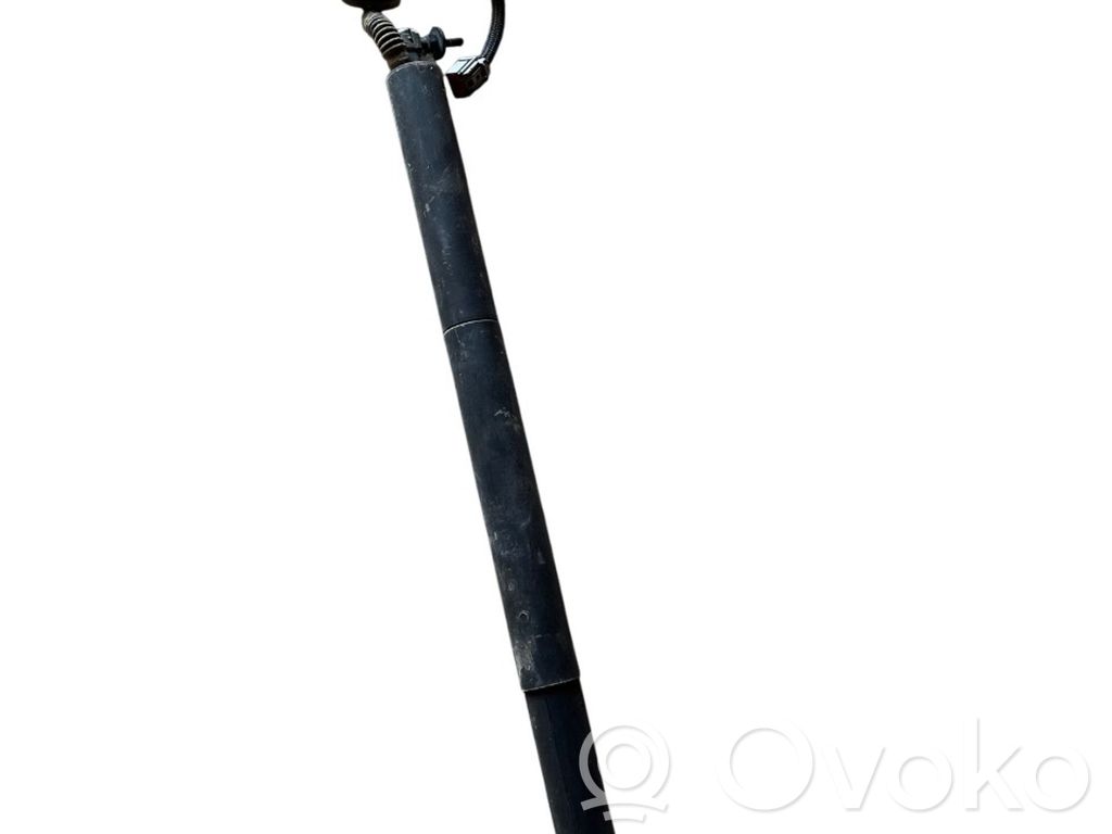 Aizmugurējā pārsega pievilcējs   68333902AB