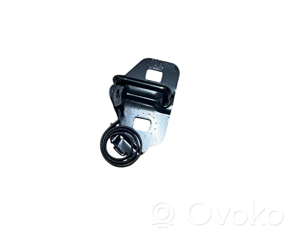 Dodge Challenger Trunk lock loop 