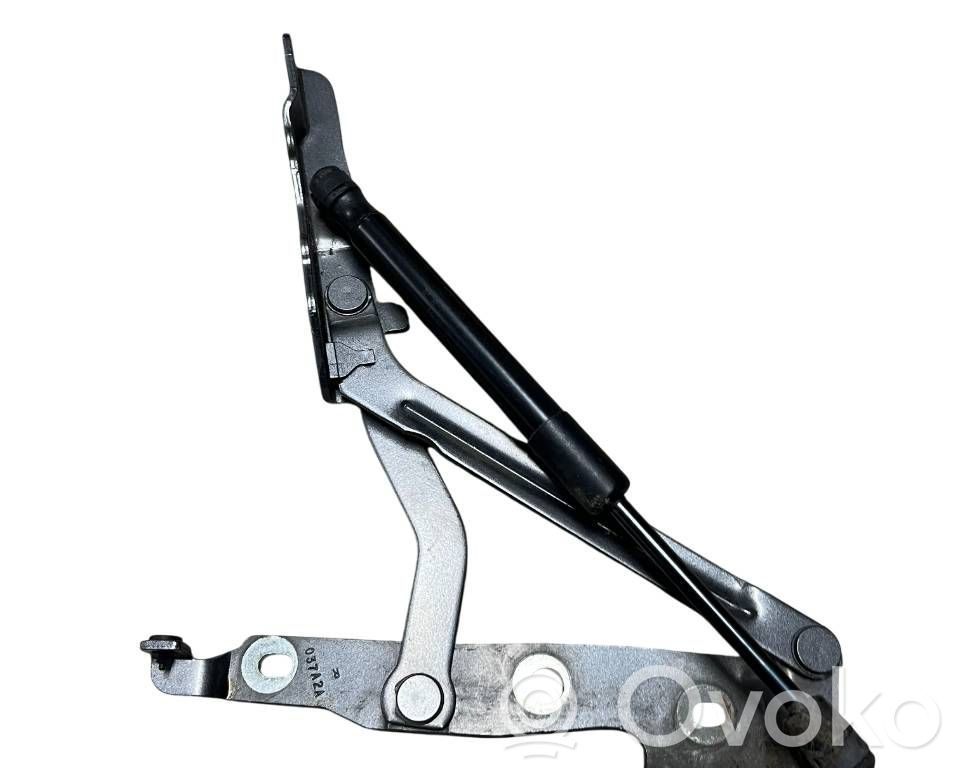 Ford Mustang V Cerniera portellone posteriore/bagagliaio 