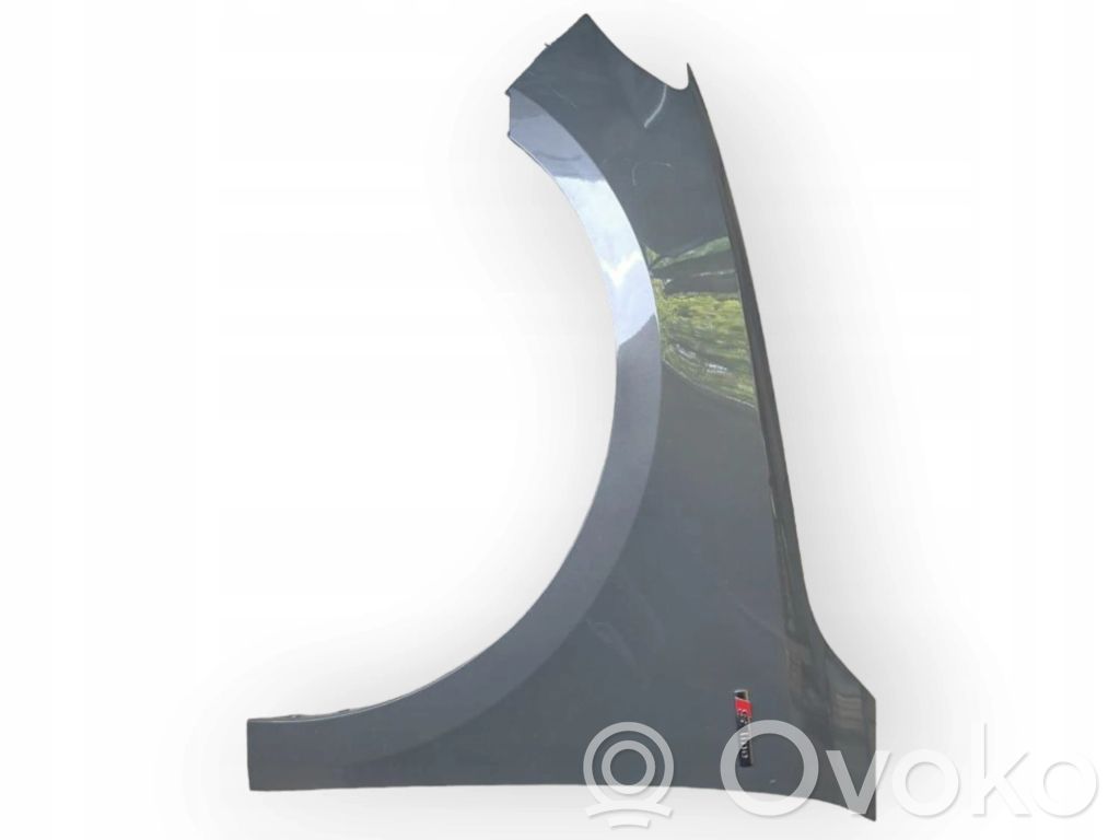 Fender